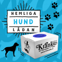 Hemliga lådan - Hund