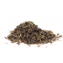 Grön pepparmint