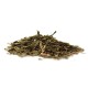 Sencha (ekologiskt)