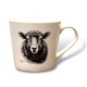 Kåisa (mugg)