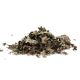 Mynta
