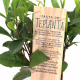 Teplanta från Kränku