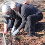 Anneli & Sylve planterar