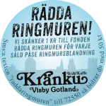 Rädda ringmuren