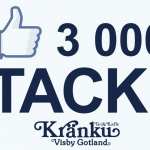 3000 gillare på Facebook!